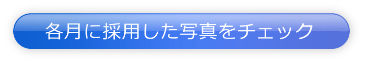 各月に採用した写真をチェック